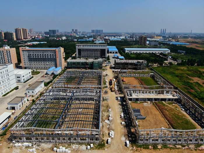 安徽广电合肥分公司合巢片区井盖项目